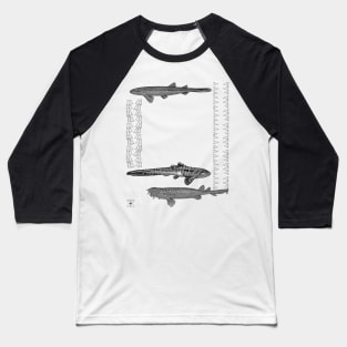 Sharks and Shark Teeth | Ocean Sea Animal Baseball T-Shirt